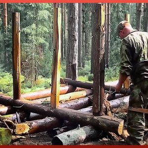 Man Builds a Log Hut in the Wild Forest in 6 Months by @bushcraftoutdooradventures3135